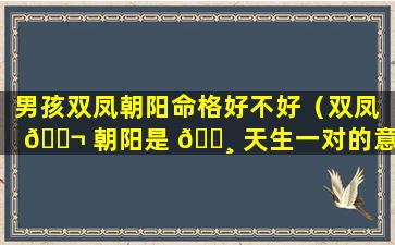 男孩双凤朝阳命格好不好（双凤 🐬 朝阳是 🕸 天生一对的意思吗）